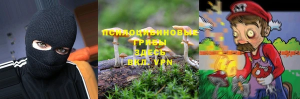 mix Абаза