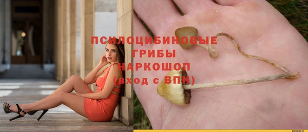 эйфоретик Алзамай